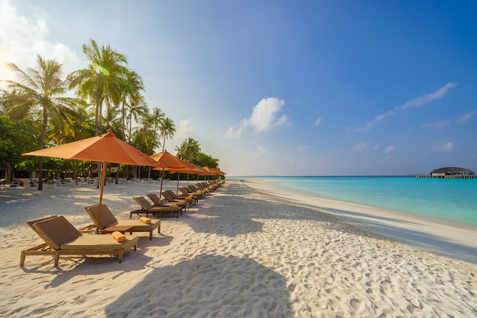 Resort Sand Raker Resort Sand Raker