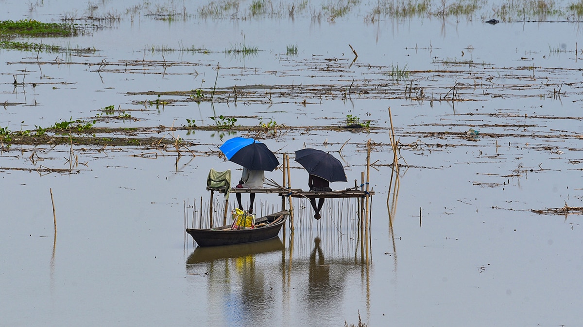 Rain trap