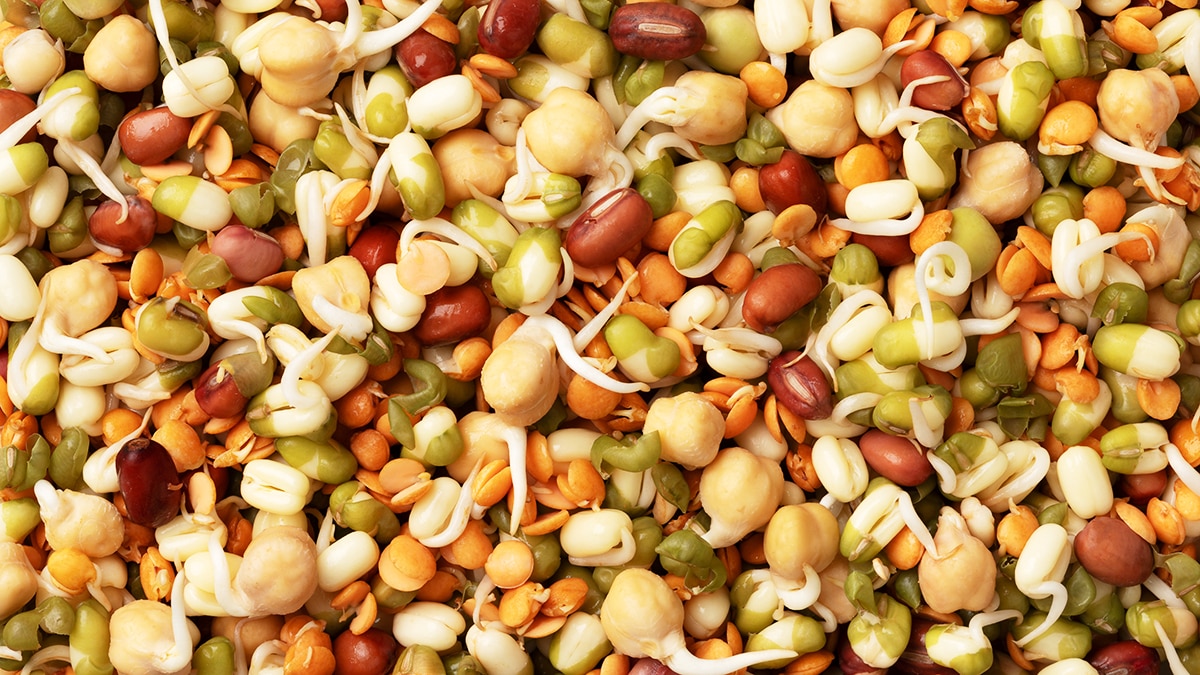 Protein crunch
