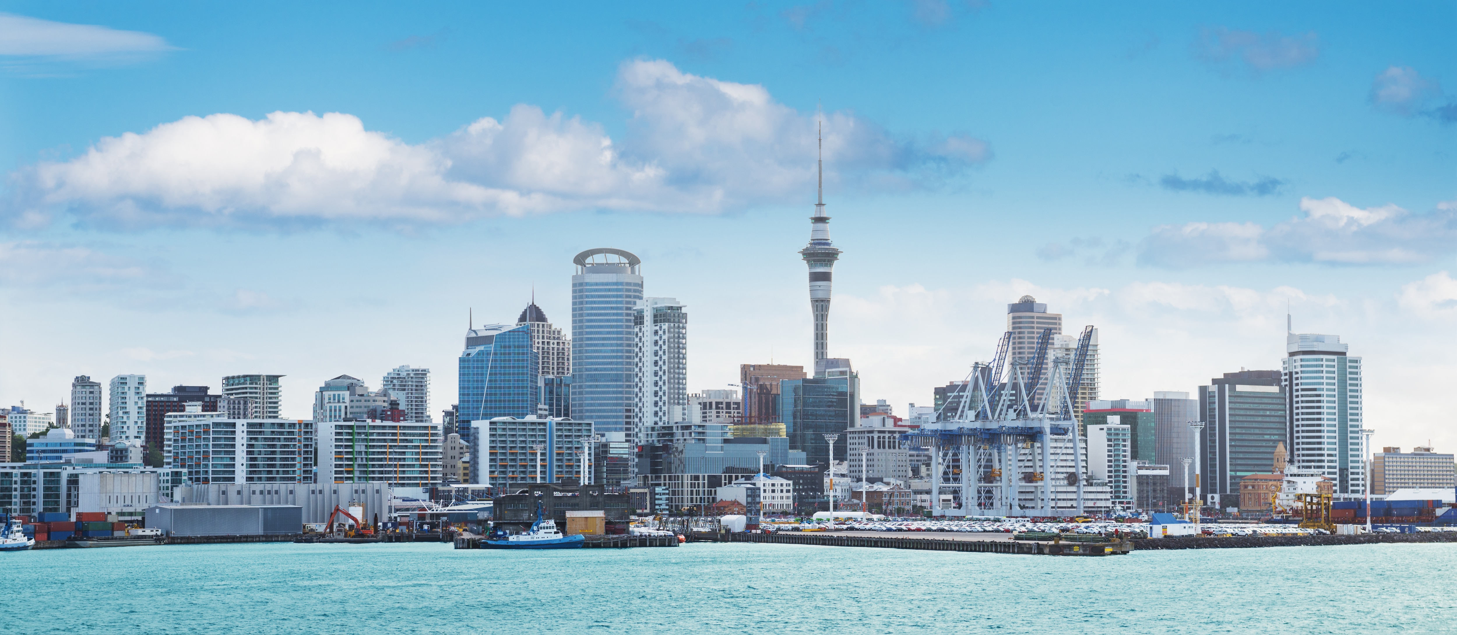 New Zealand — Drive For A Full Year