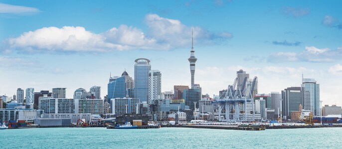 New Zealand — Drive For A Full Year New Zealand — Drive For A Full Year