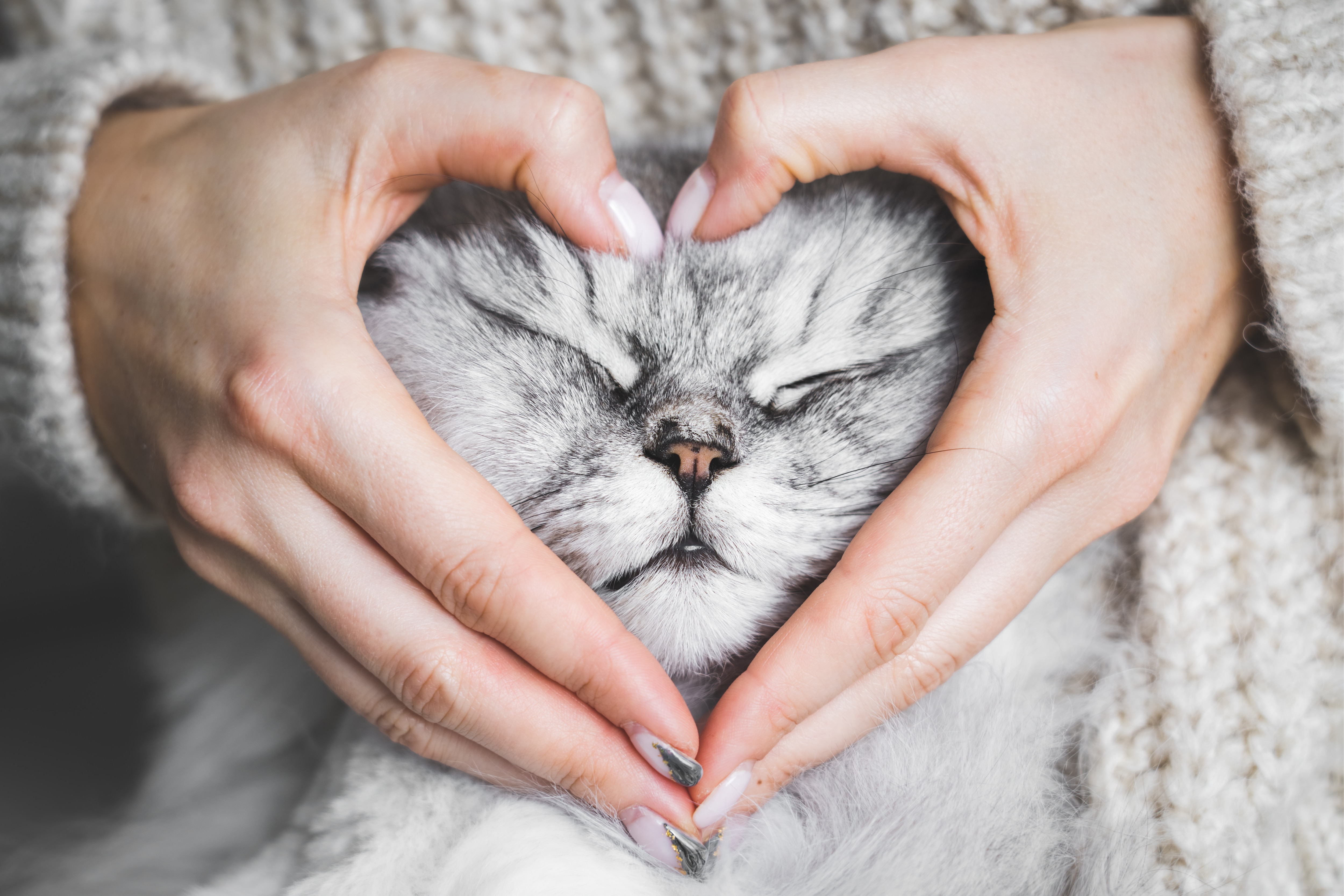 Pet Care, Childcare And Freelancing