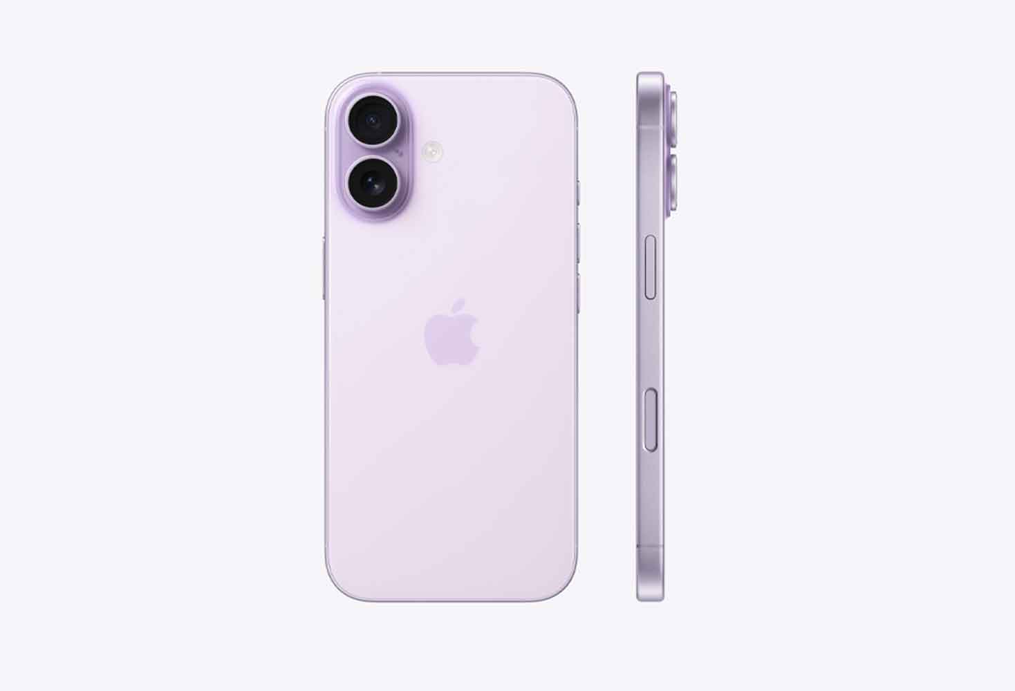 The Third Option — Skip Pro Entirely