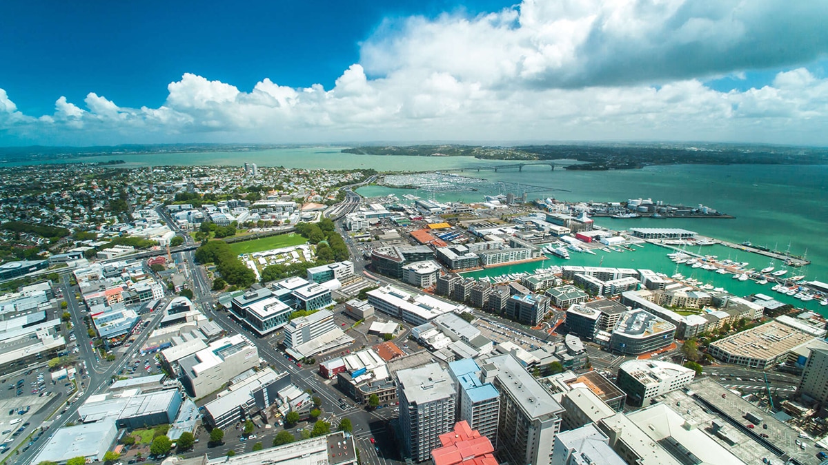 NewZealand Nest