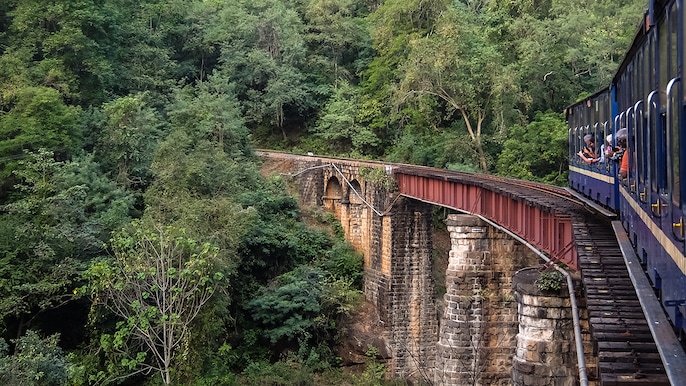 Nilgiri Wonder Nilgiri Wonder