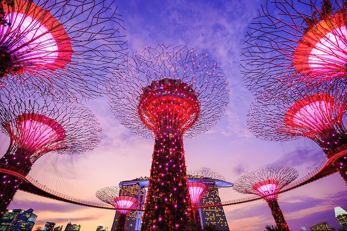 Singapore Shield Singapore Shield