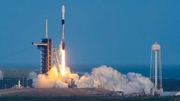 Lesson 6 & 7: Risk Is The Price Of Transformation, Curiosity Fuels Innovation Lesson 6 & 7: Risk Is The Price Of Transformation, Curiosity Fuels Innovation