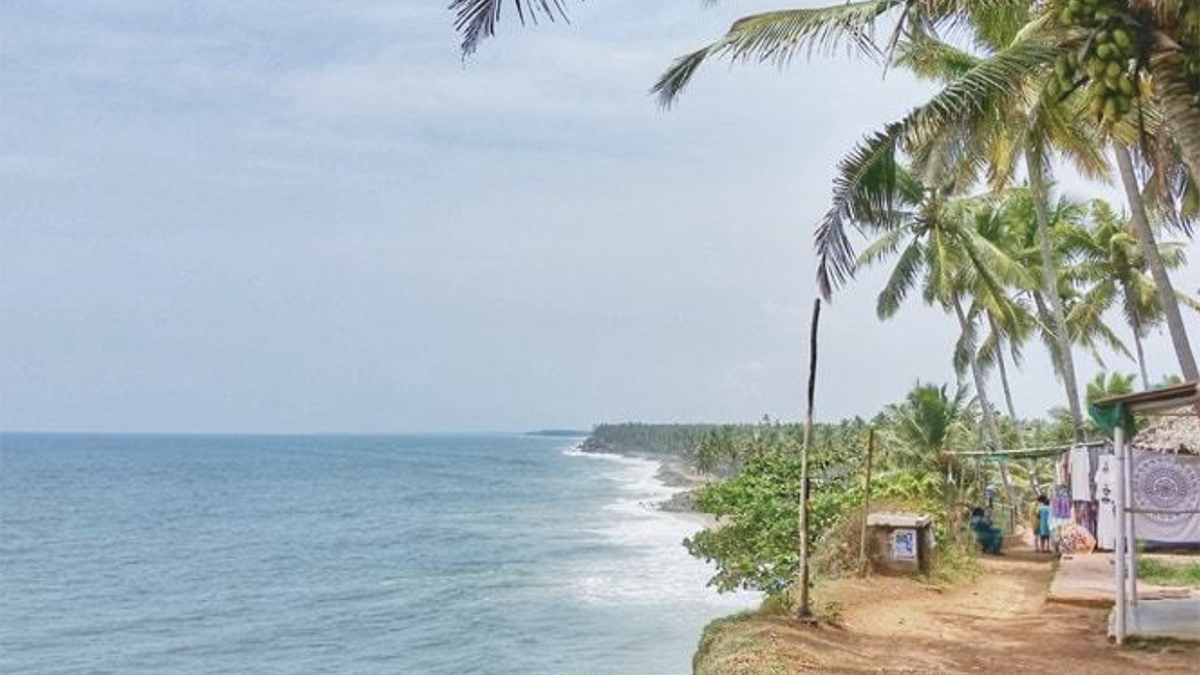 Peninsula View