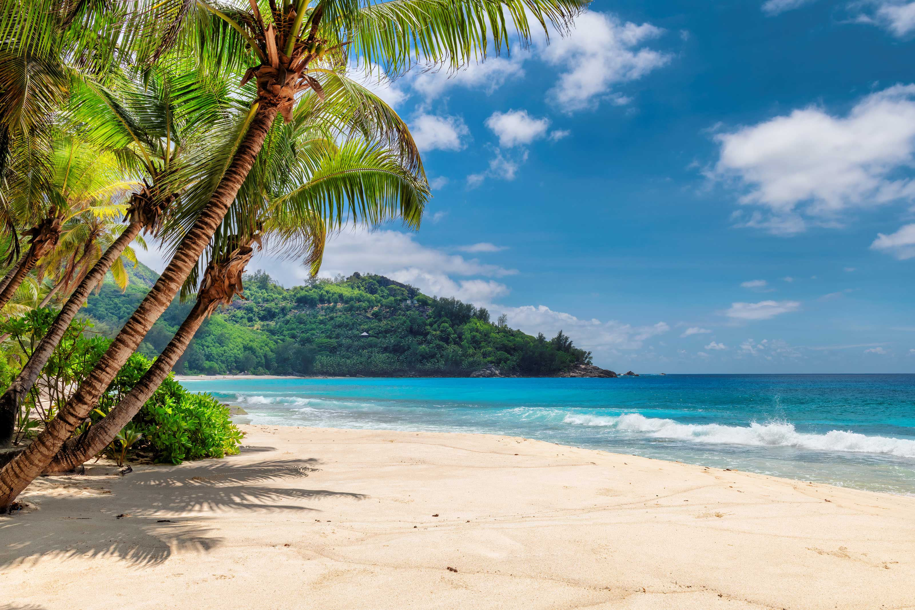 Five distinctive coastal destinations across India
