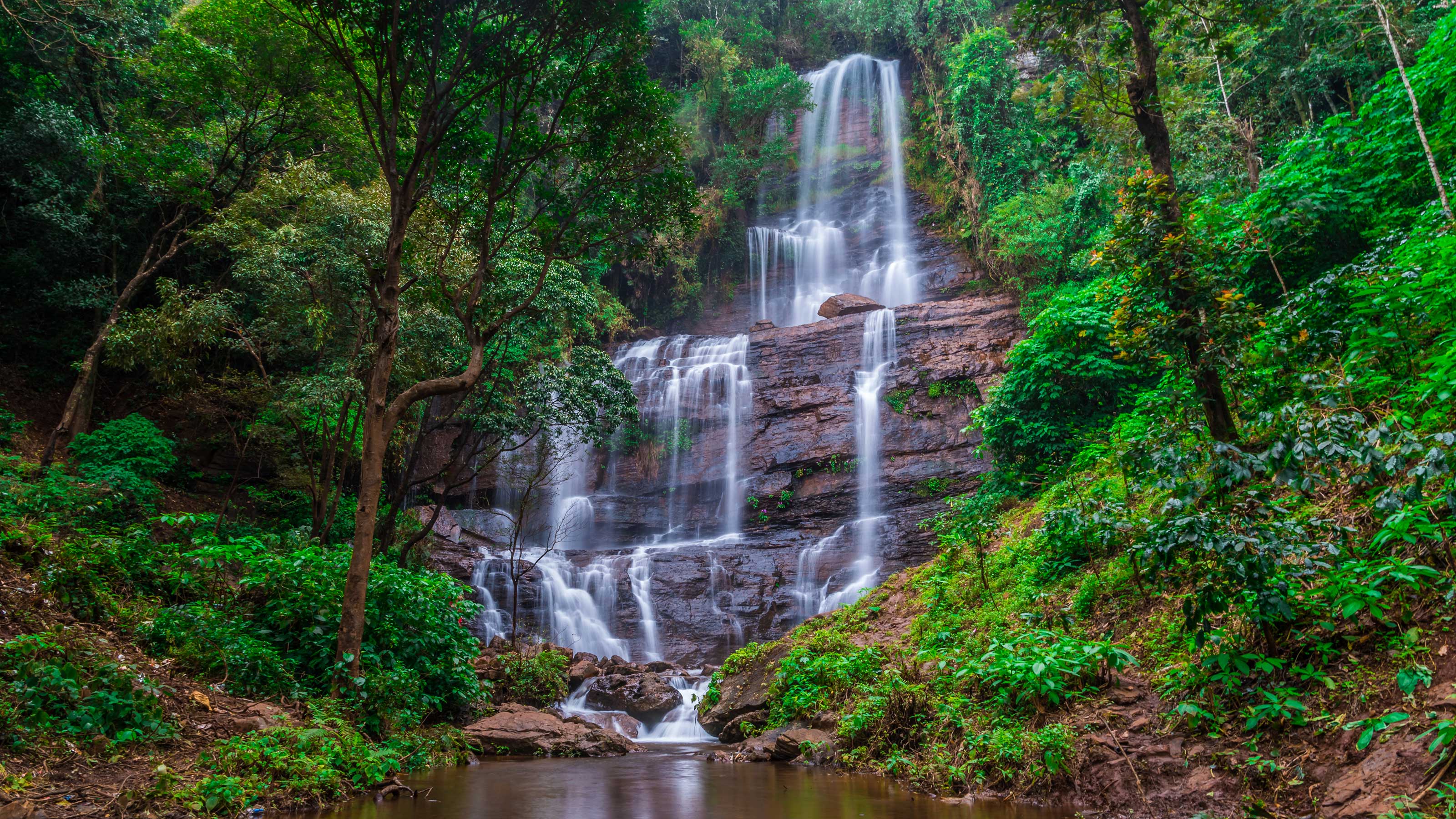 Chikkamagaluru: approximately 245km