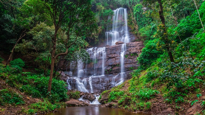 Chikkamagaluru: approximately 245km Chikkamagaluru: approximately 245km