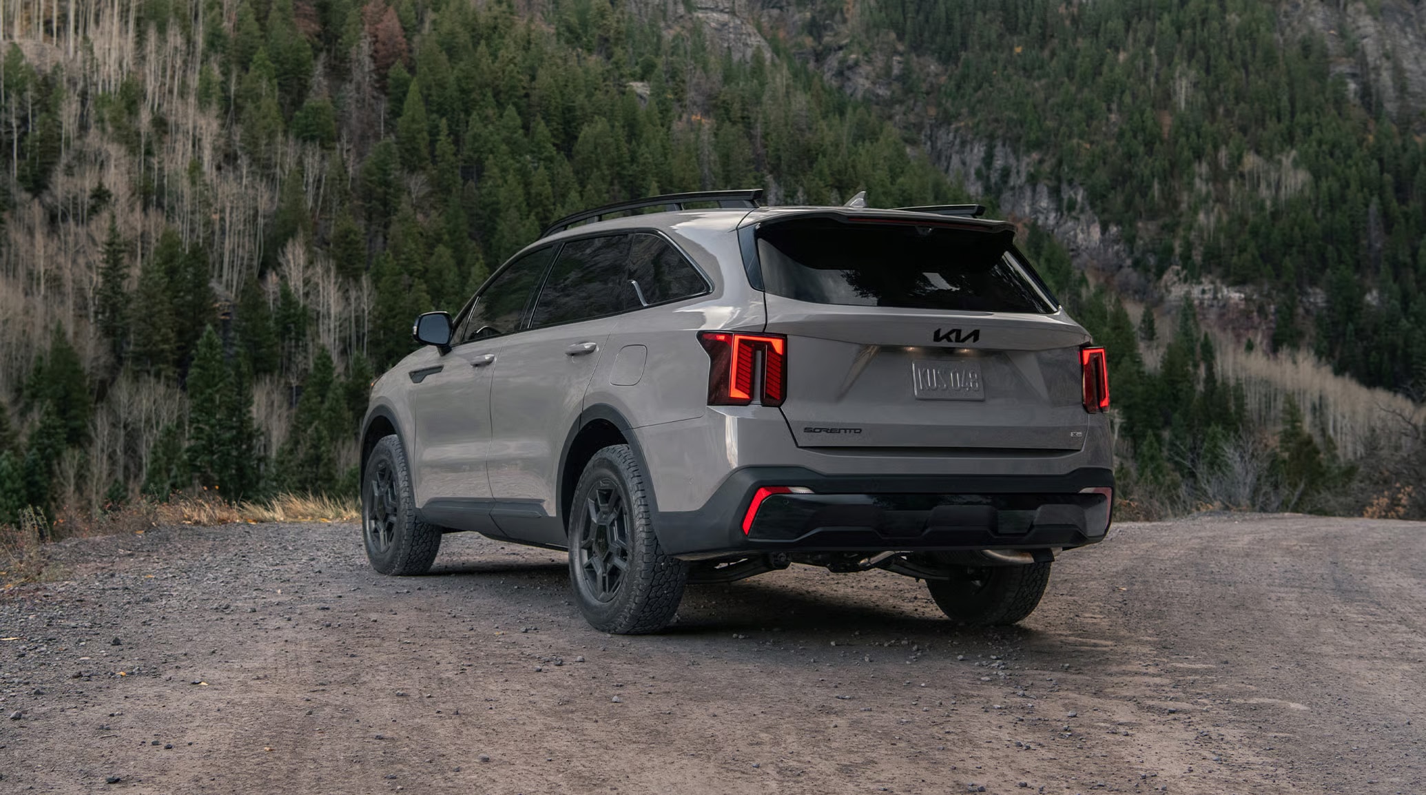 1.6-Litre Hybrid And 2.2-Litre Diesel — Two Powertrains