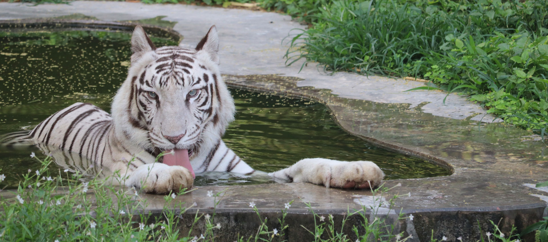 National Zoological Park — plan around its Friday closure