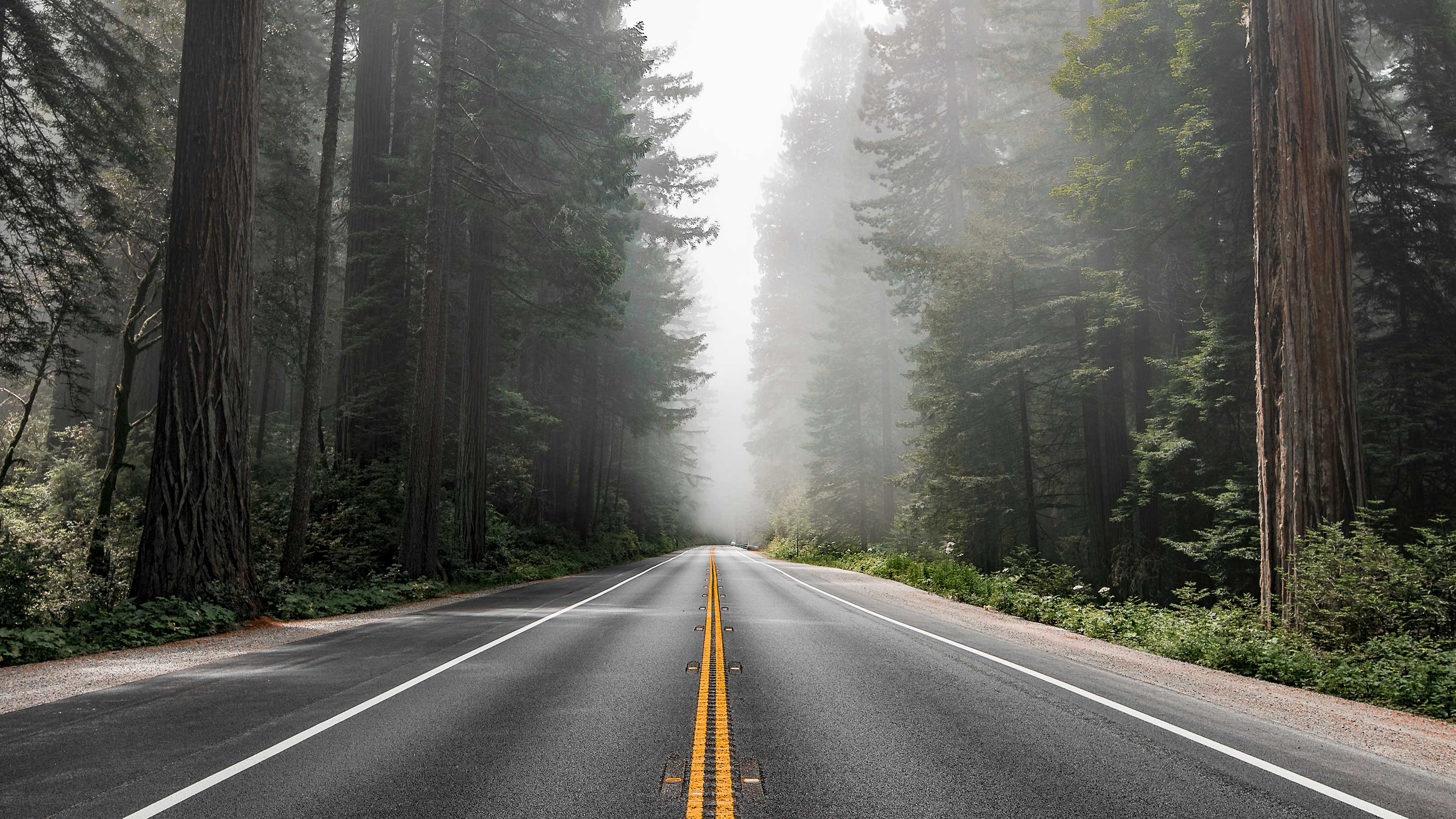 Five road trips for different kinds of travellers