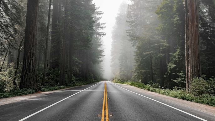 Five road trips for different kinds of travellers Five road trips for different kinds of travellers