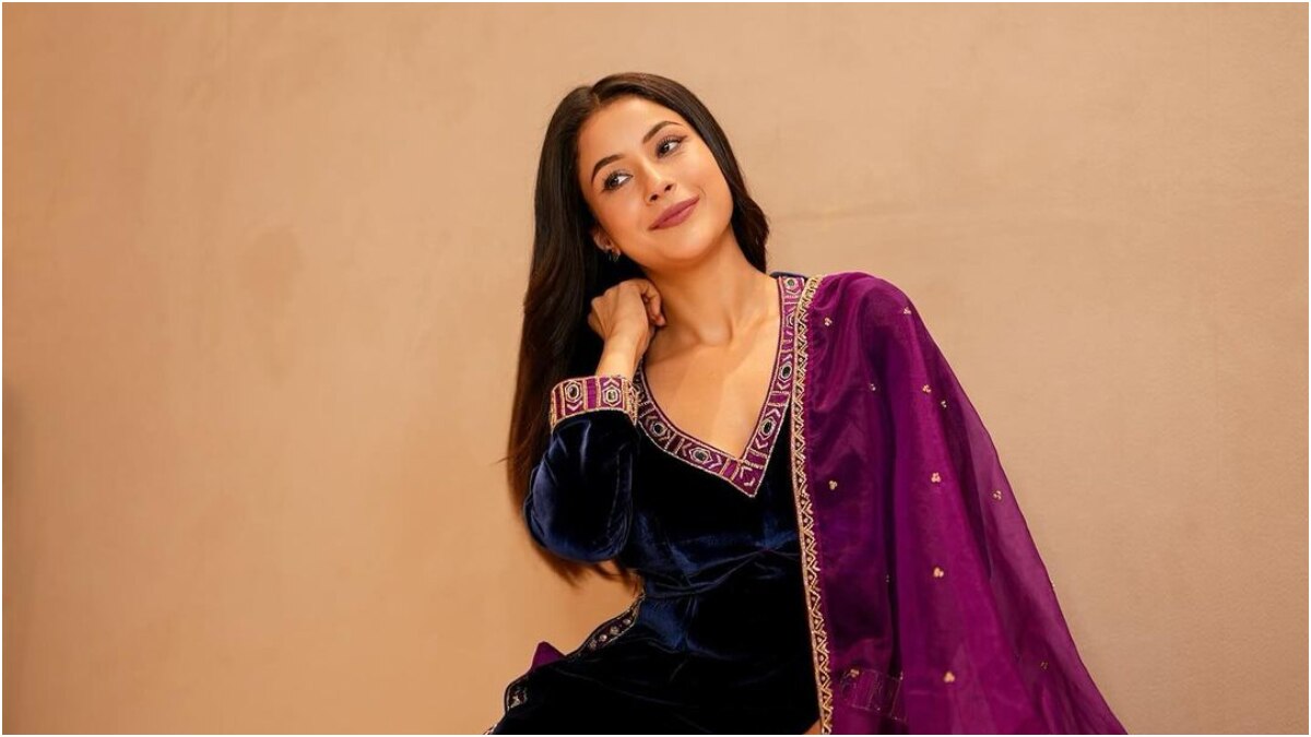 Shehnaaz Gill: third place in Bigg Boss 13 was followed by Hindi-film roles