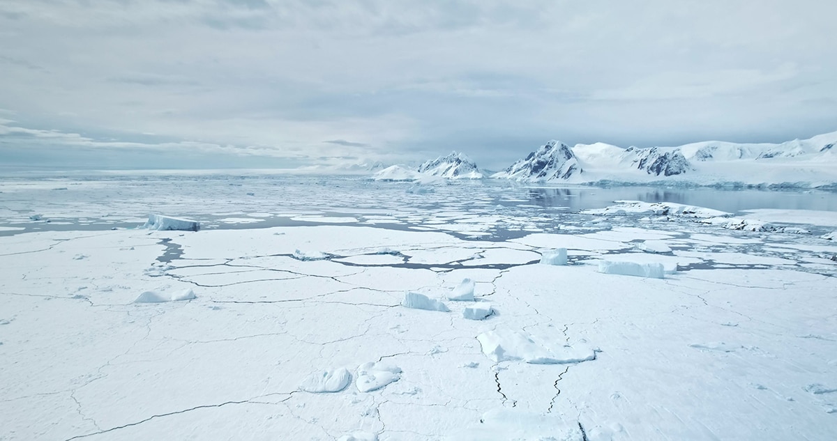 Ocean culprit