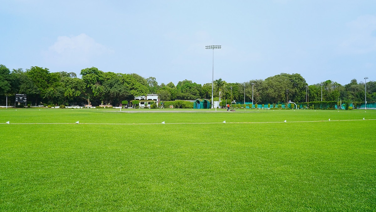 Cricket birthplace