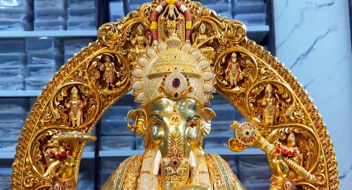 Golden spectacle