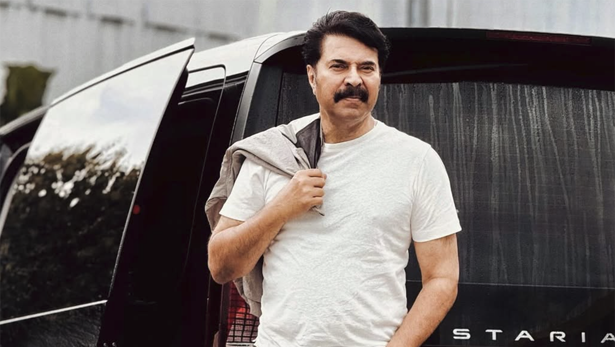 Timeless Mammukka