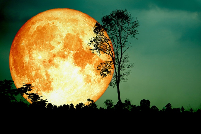 Moon spectacle Moon spectacle