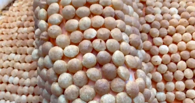 Shell marathon Shell marathon