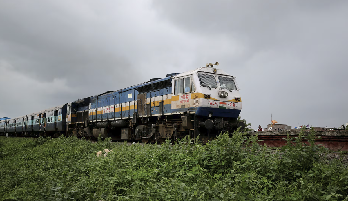 Konkan rush