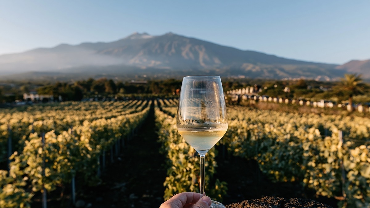 wine