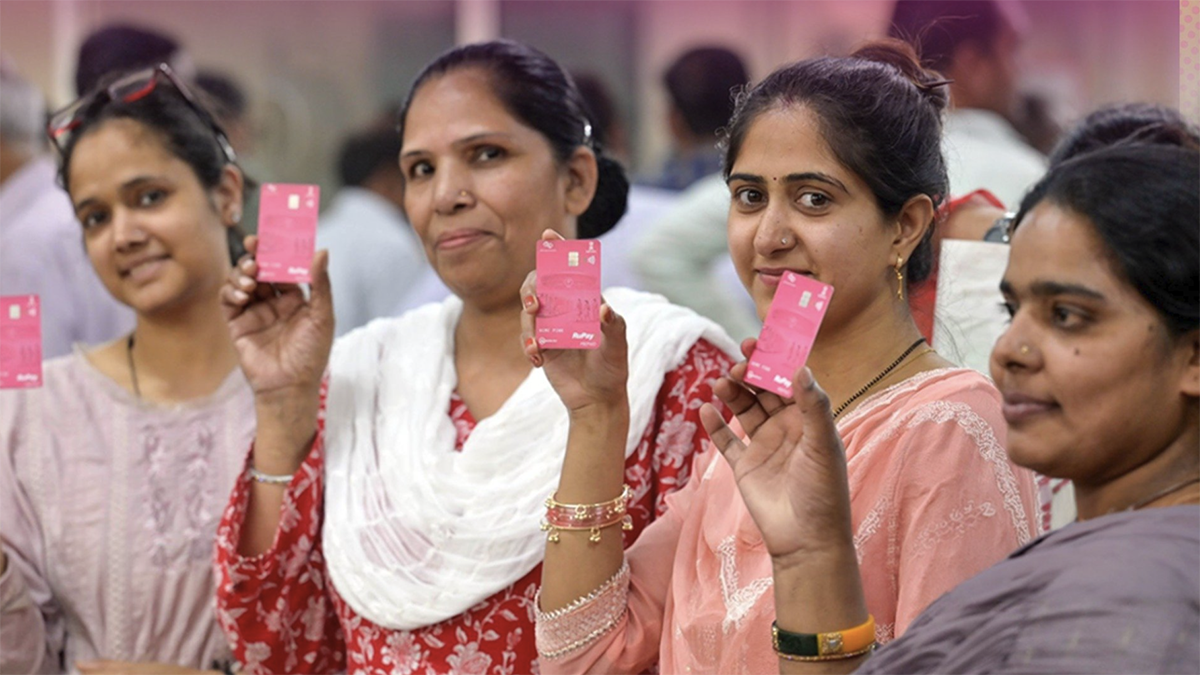 19 Lakh cards Issued