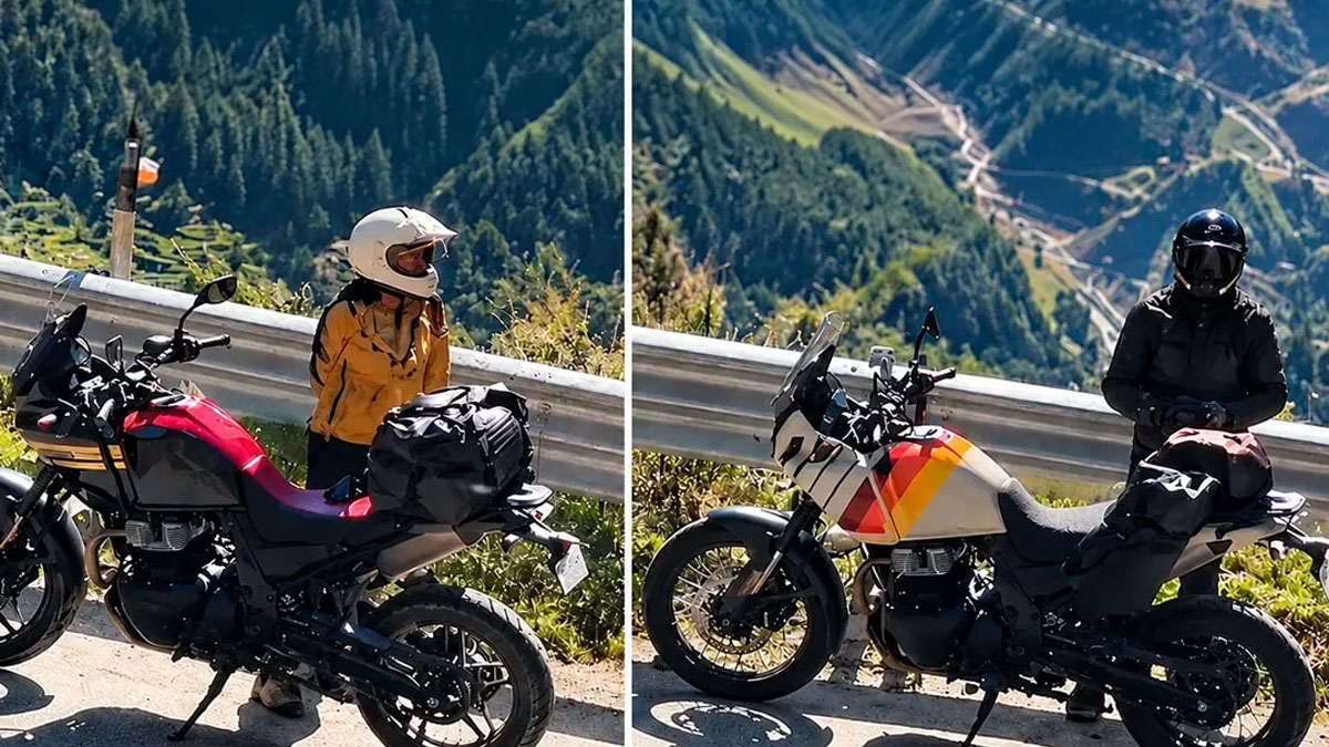 Himalayan unleashed