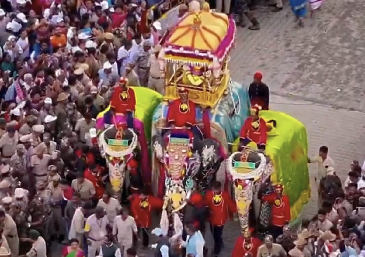 Elephant debut