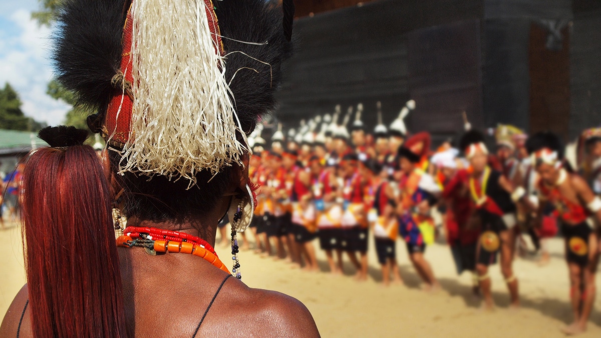 Festival fever