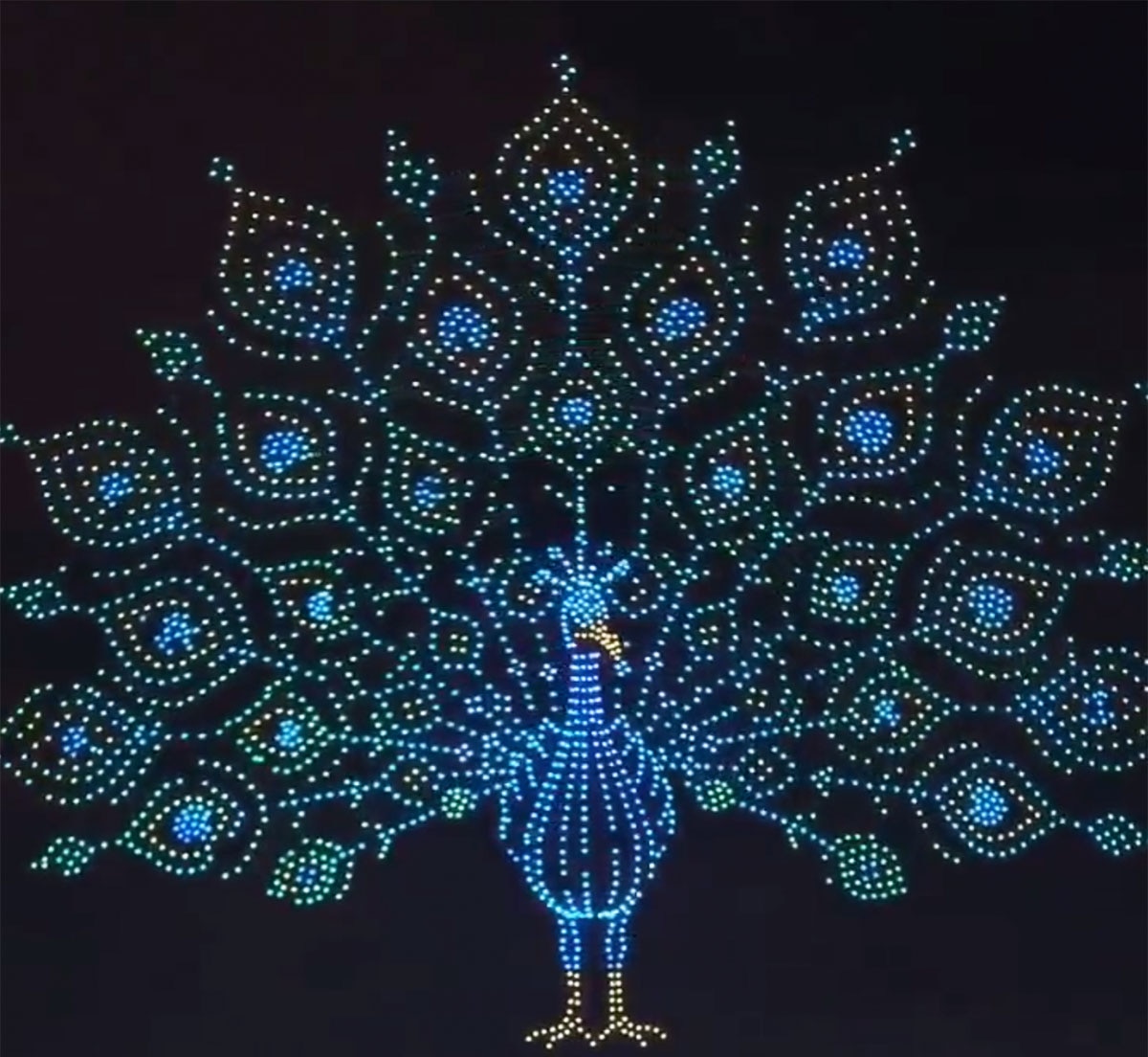Peacock spectacle