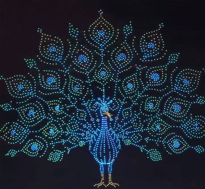 Peacock spectacle Peacock spectacle