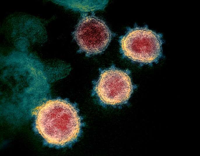 European health authorities are monitoring European health authorities are monitoring