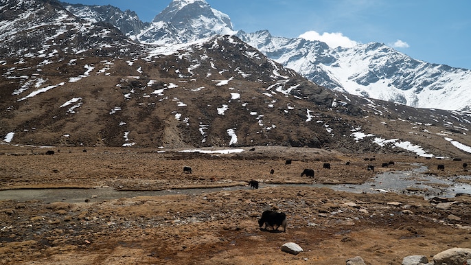 Sikkim wonderland Sikkim wonderland