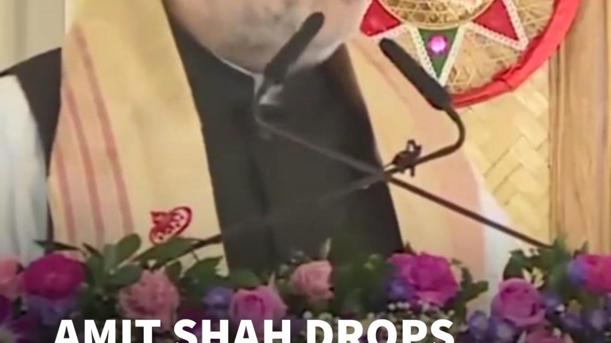 “Without Gopinath Ji, Assam May Not Be In India Today”: Amit Shah