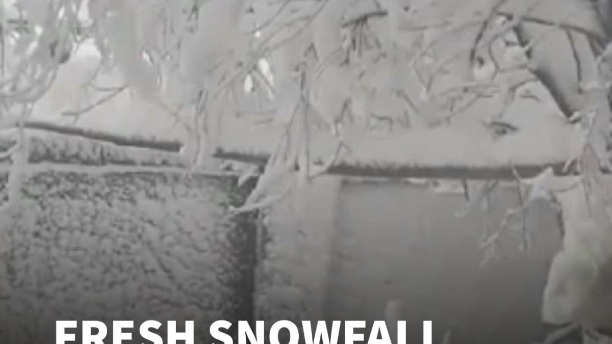 Heavy Snow Hits Kashmir, Budgam Turns Into Winter Wonderland