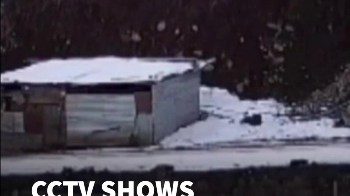 CCTV Captures Terrifying Sonamarg Skid As Car Slips Off Road On Icy Stretch, Three Injured