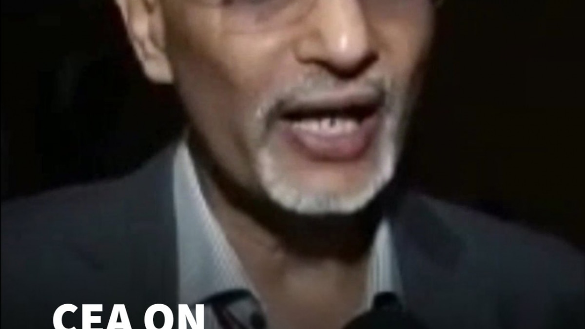 NITI Aayog Report Marks Key Milestone In India’s Net Zero Journey | Ananth Nageswaran