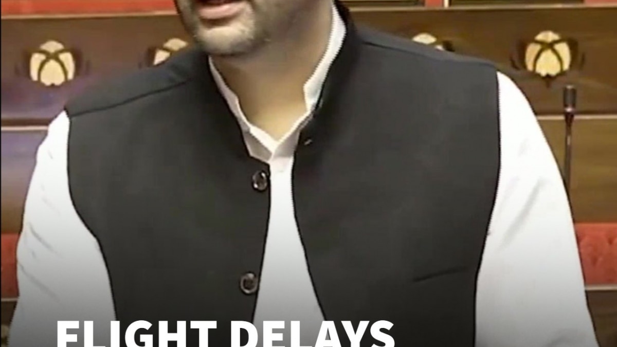 Pay For Extra Baggage, But Get Nothing For Flight Delays? Raghav Chadha Questions Govt