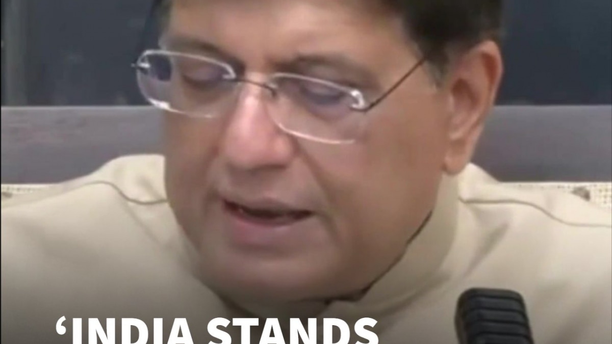 India Takes Firm Stand At WTO, Rejects IFD Inclusion Without Safeguards: Piyush Goyal