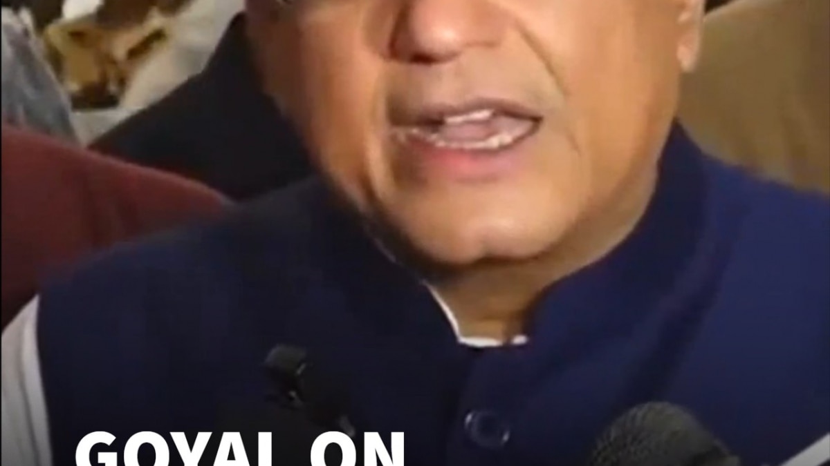 'Gen Z Is With PM Modi': Piyush Goyal Says Youth Backed PM's Third Term, Will Power Viksit Bharat