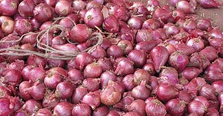 Onion prices crash in wholesale markets of Delhi