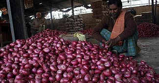 Subsidised Nafed onions selling like hot cakes in Delhi