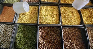 MMTC invites bids for sale of 2,000 tonnes of pulses
