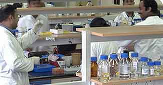 Biocon Q4 net profit up 25% to Rs 101 cr