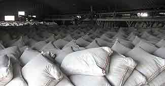 UltraTech Cement to spend Rs 11,000 crore on expansion