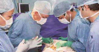 LIC introduces health plan Jeevan Arogya