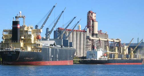 Exports grow 6.7% in Dec, imports up 19.8%